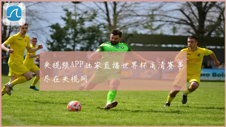 央视频APP独家直播世界杯高清赛事尽在央视网